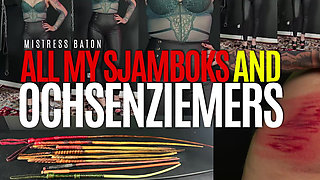 All My Sjamboks & Ochsenziemers