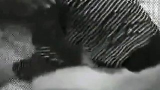 Homemade Japanese Adult Video