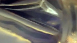 home made amateur blonde Masturbating