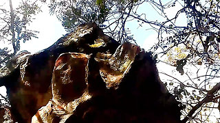 Lovely honey in A village mountain