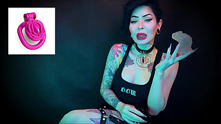 Wear the Clitty Chastity for a Month Let's Shrink Your Leftover Shrimp Locktober Shrinking
