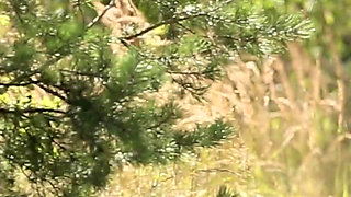 Hot Blonde MILF Tracy Love Fucked Outdoor