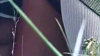 Compiled Pussy Closeup