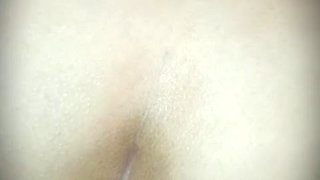 wife's sister-in-law