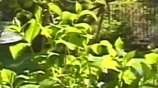 Vicious Freak Girls Lost in Endless Pleasure and Deep Penetration