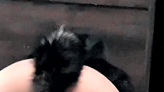 I wanna show off my tail for you