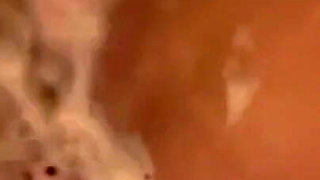 Wet Fun Close up