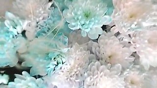 Bouquet of Flowers