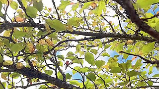 Hana at the Garden and Special Thing Happen