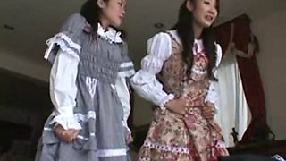 Maids sp