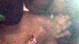 House 3 Fucks Hot Girlfriend Doggy Style in Her House - Big Tits, Asian Babe, 18 Year Old First Time