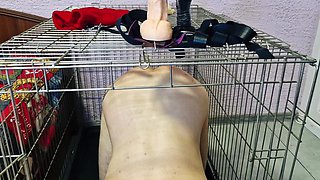 Femdom Session. CBT, Wax, Anal Dildoing, Milking, Footfetish