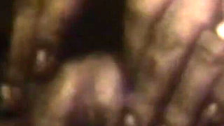 The Gozona Pig Gets Milk