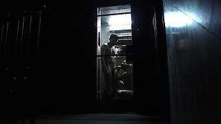 Fucking My Neighbour in the Lift