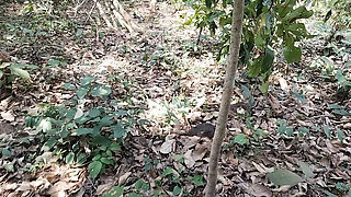 A Girl Was Hard with Her Step Brother in Jungle After Blowjob, an Asian Teen Girls Hard-co Fucking with Her Boyfriend in Jungle