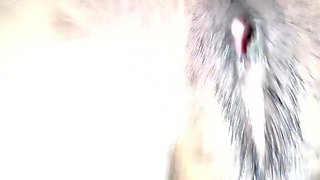 Couple Sex And Sex Wife In Husband Wife