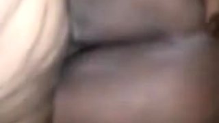 Chocolate Ashy Jumbo Ass