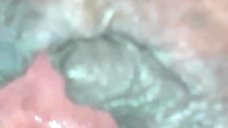 My Horny Stepmum