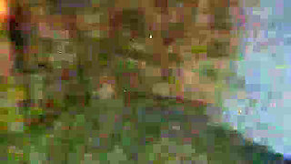 WildEnglishBBW new years outdoor nude flashing