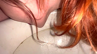 Licking Toilet Till Orgasm