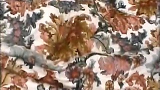 Ebony amateur hooker porn