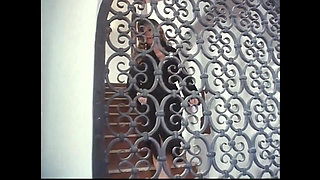 Hot MILFs with Hairy Pussy Ass Fucked and Cummed in Mouth Big Cocks Vintage