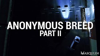 Anonymous Breed, Part 2 - Bro Network