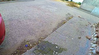 Slutty amateur flashing her big boobs in the backseat