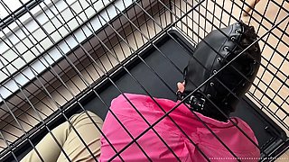 Lord Goddess Maria - Degrading My Caged Slave