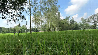 Bangla Choti golpo student and teacher best performance student