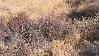 Blonde is flashing her big boobs in the outdoors