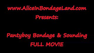AliceInBondageLand - Pantyboy Sounding Crossdresser