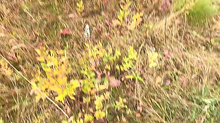 How Amazing She Piss