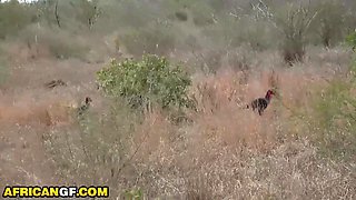 Supah Cock-squeezing Ebony Beaver Boinked By Gigantic Weenie Yankee In Truck Truck