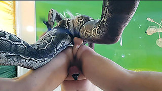 Strapon enters submissive's anus in chastity belt. Anal sex with strapon