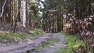 BluttBoy naked in forest