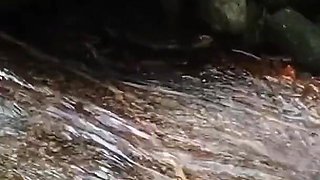 Trilha Da Coroa Gostosa