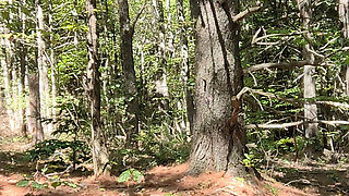 A quick pee in the forest