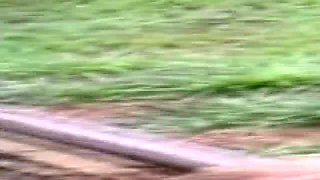 Hardcore Clip Seven Sluts Screaming in XXX Orgy Overdrive
