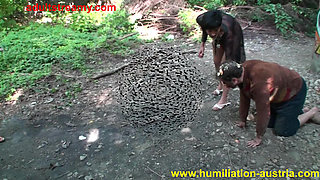 femdom humiliation