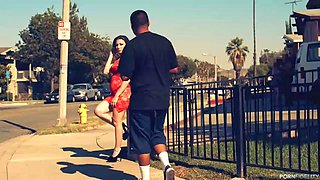 Comedian s Videotheque: Blowjob, Doggy  Cowgirl Porn