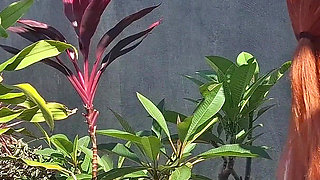 Fucking the Innocent Redhead in the Garden