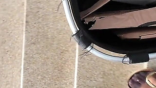 Nylon Cardboard Crush