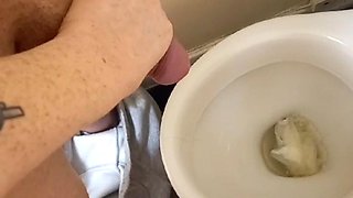 Pissing in the Toilet Compilation