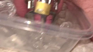 Rod Hasn’t Been Very Obedient Lately so as a Punishment