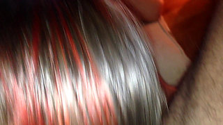 Stoyca at the beginning