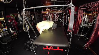 Leck Meine Natursekt-liege Sauber!