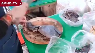 Chinese fuck: Big Tits, Blowjob  Asian Porn