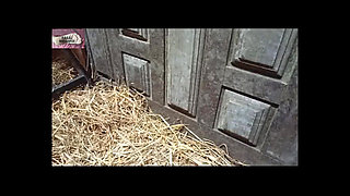 A Lesbian Slave in a Haystack 1