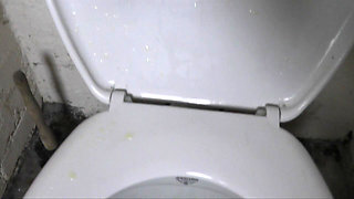 Toilet Slave